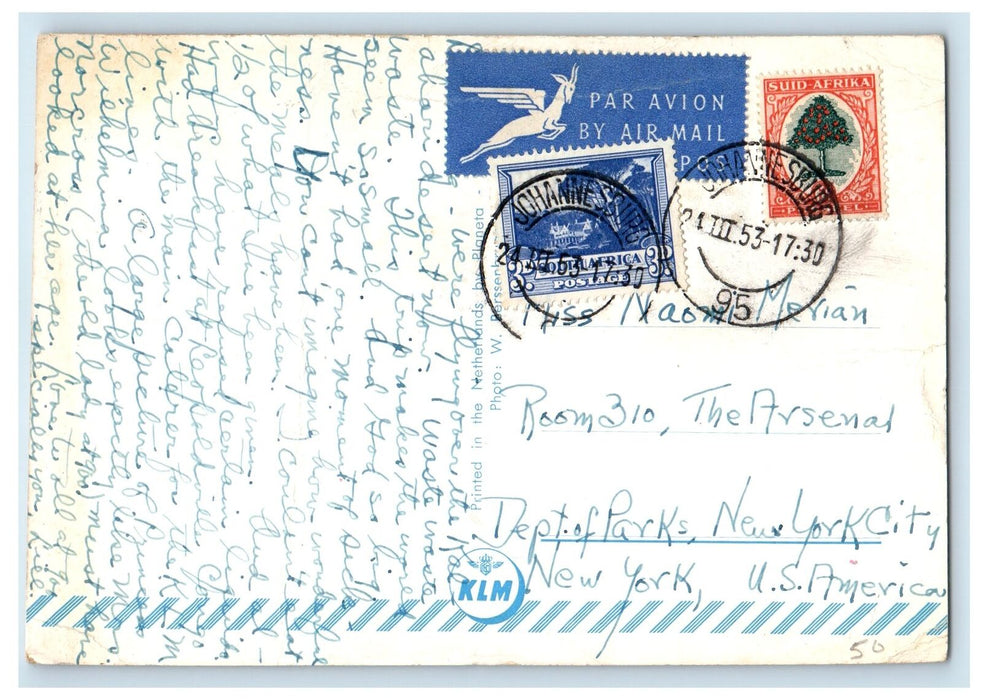 1953 KLM Airlines Stewardess Passenger Cabin Interior Johannesburg Postcard