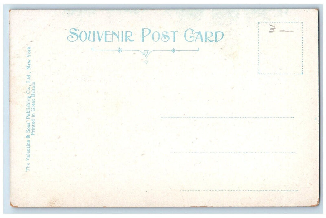 c1905 The Commons Dartmouth College Hanover New Hampshire NH Souvenir Postcard