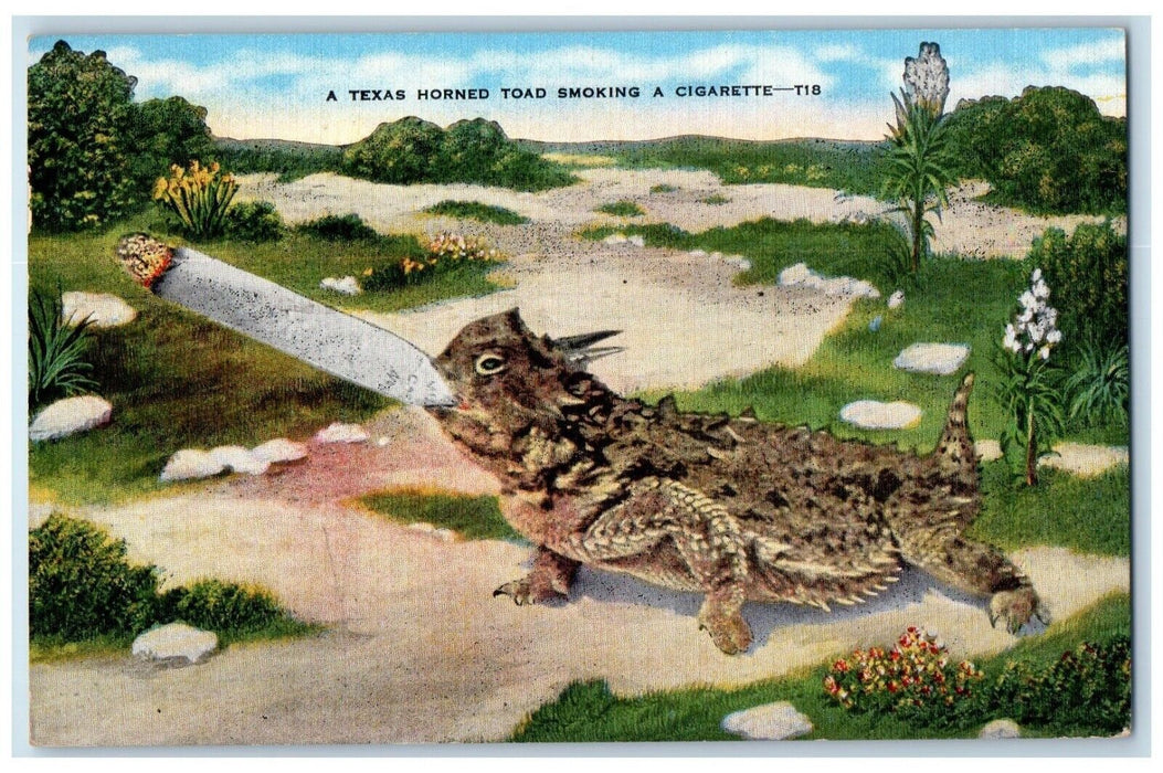 1944 Texas Horned Toad Smoking Cigarette Forth Worth TX Soldier Mail Postcard