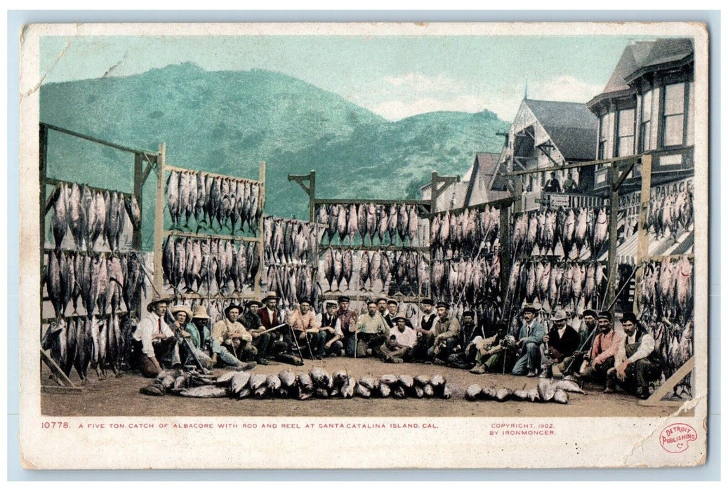 Santa Catalina CA,  Five Ton Fishes Tuna Catch Of Albacore Rod And Reel Postcard