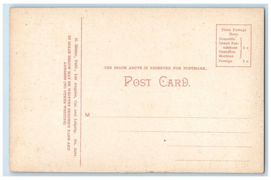 c1910's Sun Curing Peaches In San Francisco California CA Antique Postcard