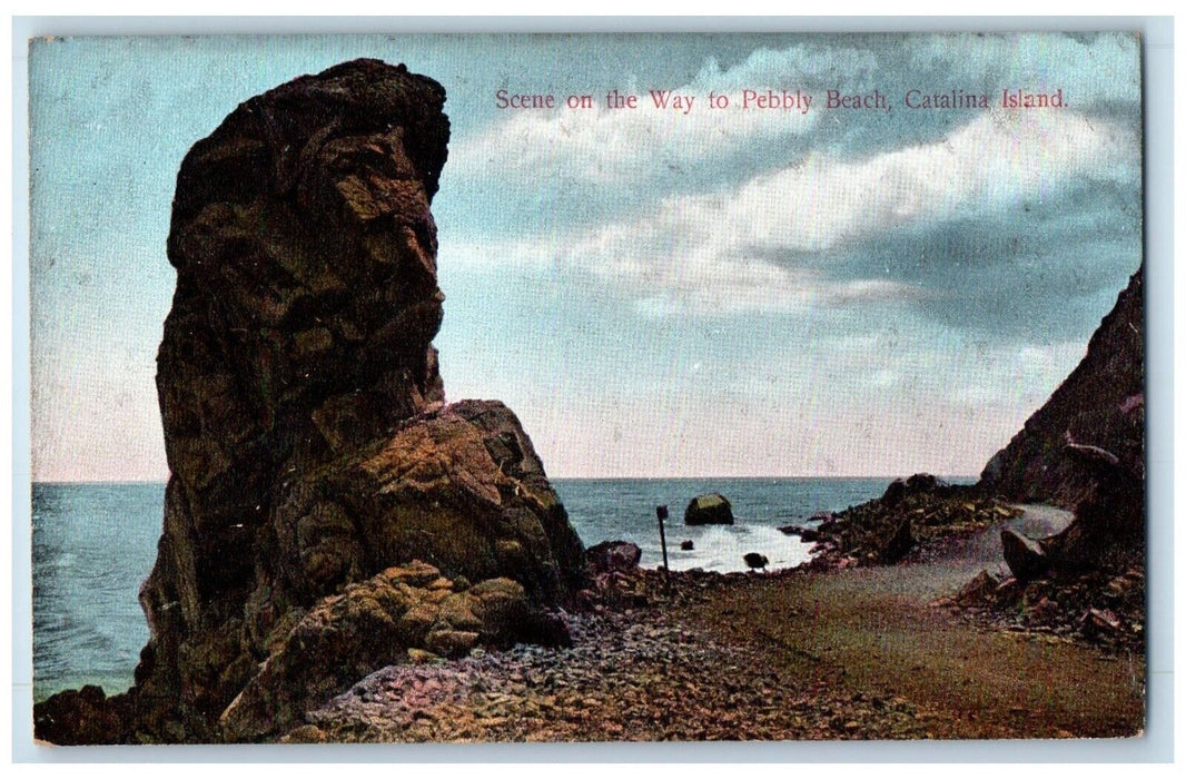 c1910's Scene On The Way To Pebbly Beach Catalina Island California CA Postcard