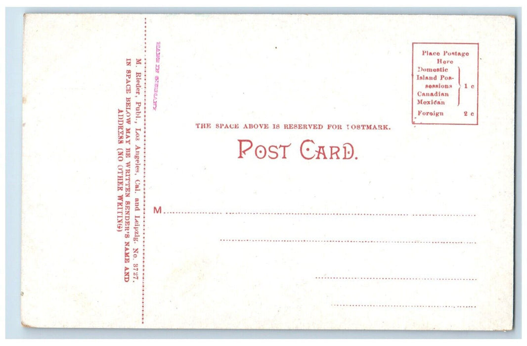 c1910's Scene On The Way To Pebbly Beach Catalina Island California CA Postcard