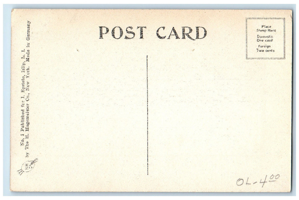 c1910 Entrance View of School House Long Island New York NY Antique Postcard