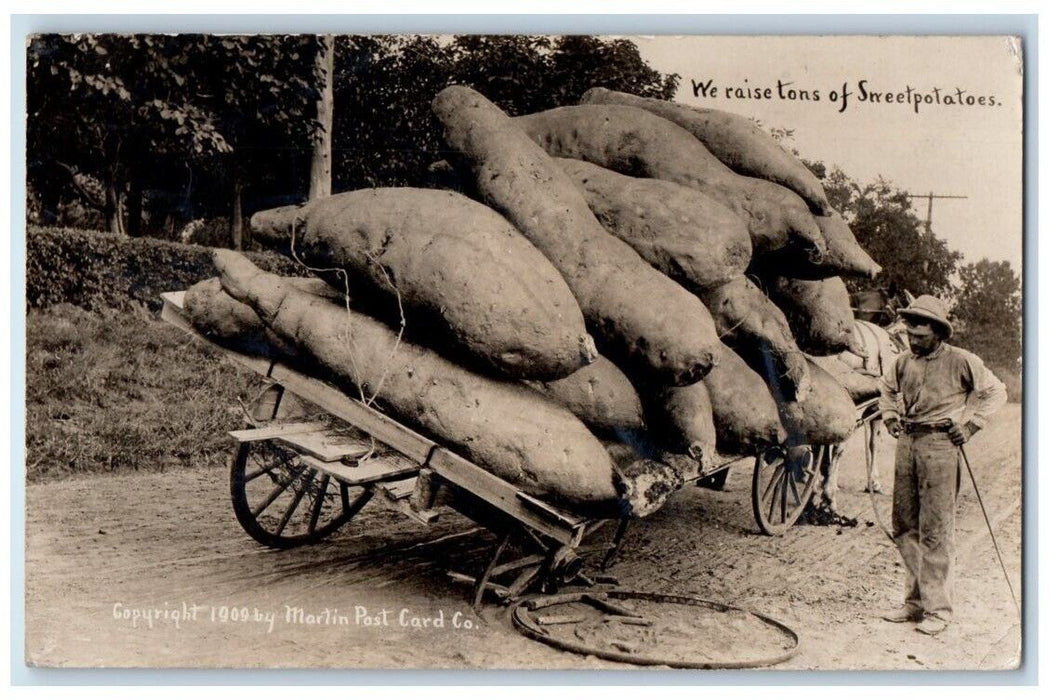 1911 Exaggerated Sweet Potatoes Martin Santa Cruz CA RPPC Photo Postcard