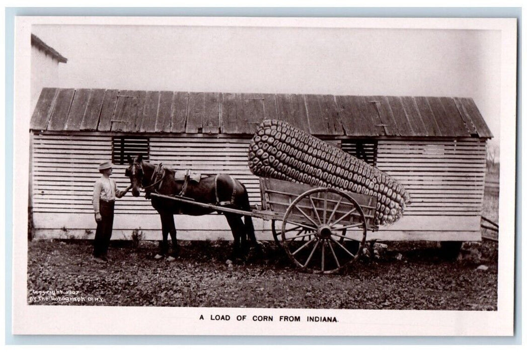 1907 Exaggerated Load Of Corn From Indiana Man Horse Cart  RPPC Photo Postcard