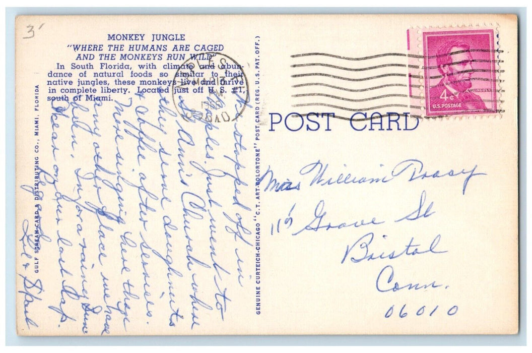 1940 Monkey Juice Humans Cages Monkeys Run Wild Animal Miami Florida FL Postcard