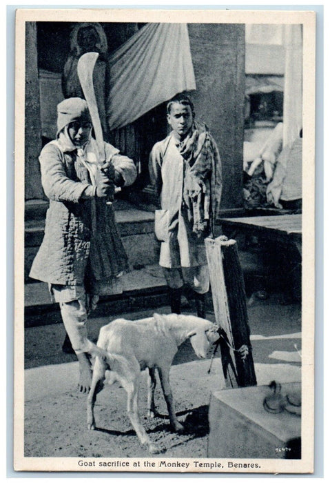 c1910's Goat Sacrifice At The Monkey Temple Benares India Antique Postcard