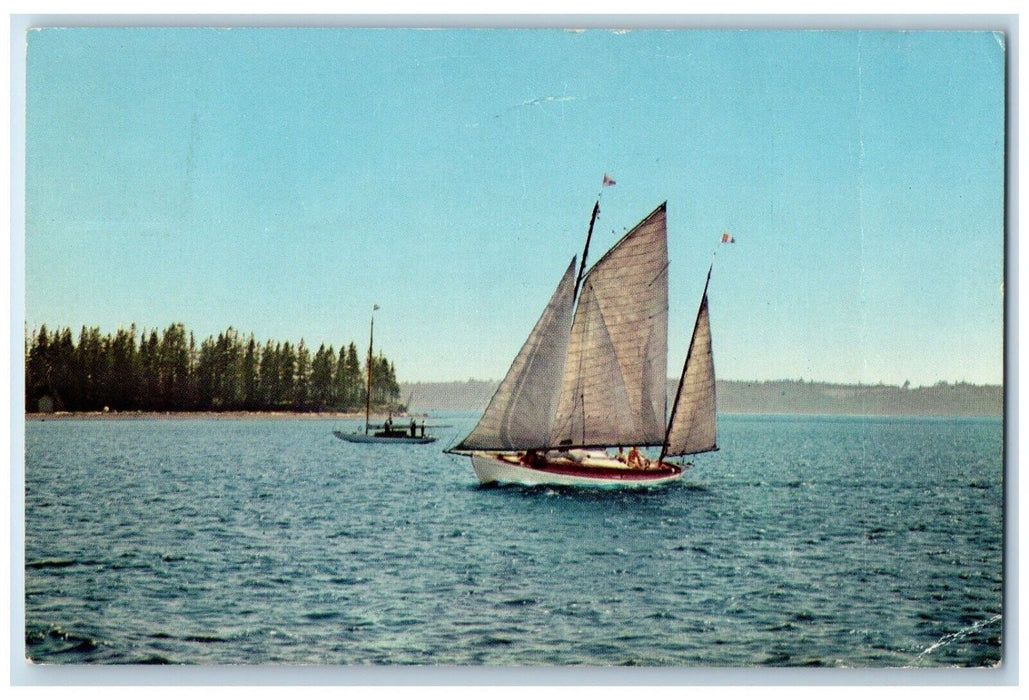 c1960 Sailing Near St Andrews Sail Boat Lake New Brunswick Canada CA Postcard