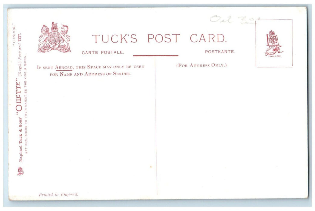 c1910 Scenic View London Westminster Pier Dock Boat Lake Antique Tuck's Postcard