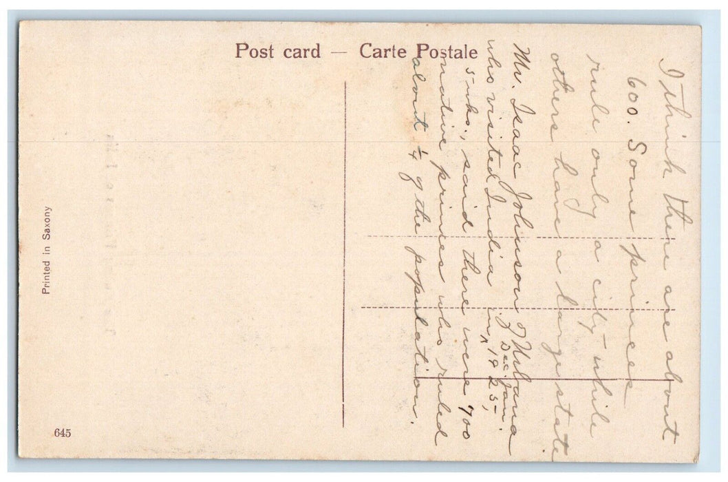 c1910's The Ruling Princess Of India, Mr. Isaac Johnson Visited India Postcard