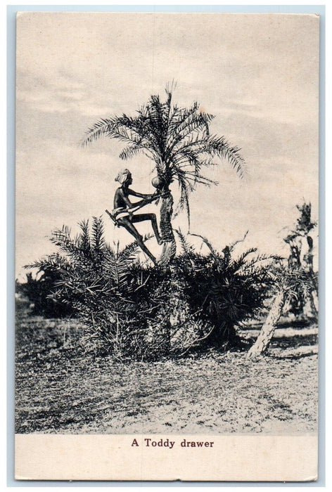c1910's A Toddy Drawer Drawing Sugar Water India Posted Antique Postcard