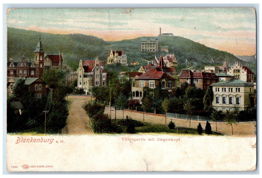 c1905 Villenpartie Mit Ziegenkopf Blankenburg Saxony-Anhalt Germany Postcard