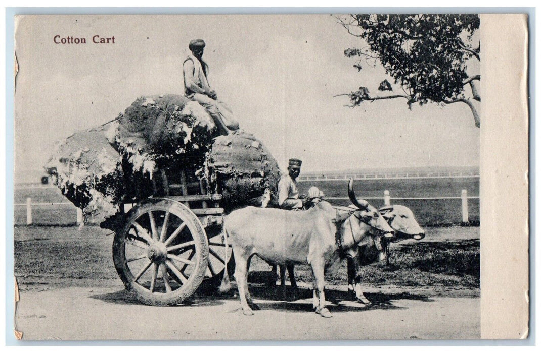 c1910's Cotton Cart Cows Wagon Dirt Road India Unposted Antique Postcard