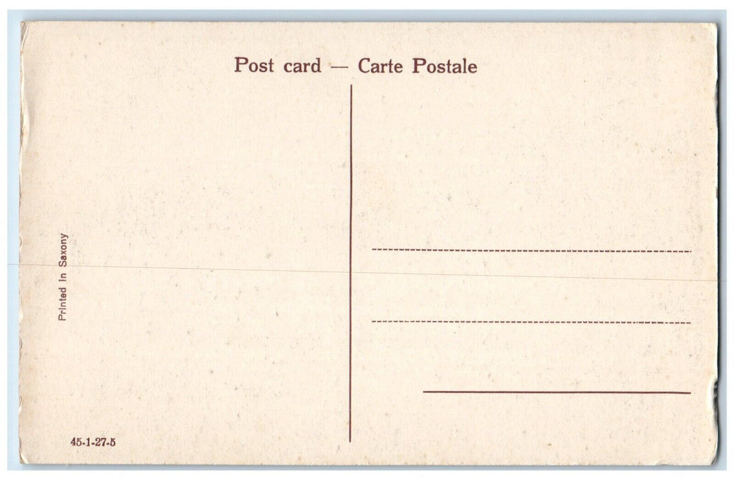 c1910's Cotton Cart Cows Wagon Dirt Road India Unposted Antique Postcard