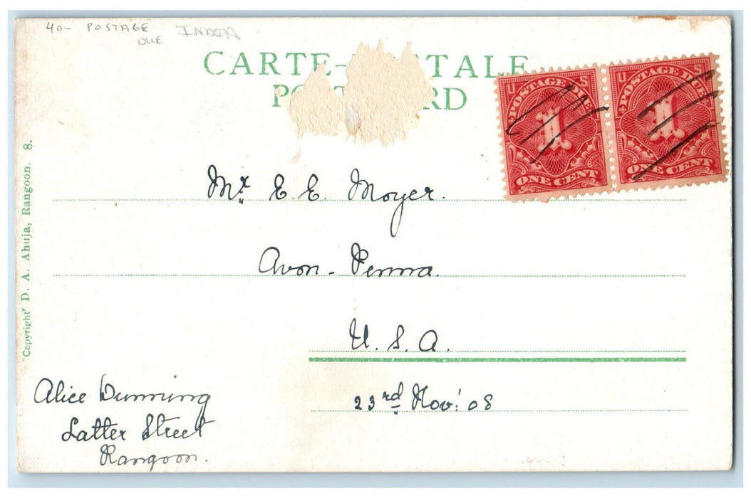 c1905 View of Royal Lakes Rangoon India Postage Due Antique Posted Postcard