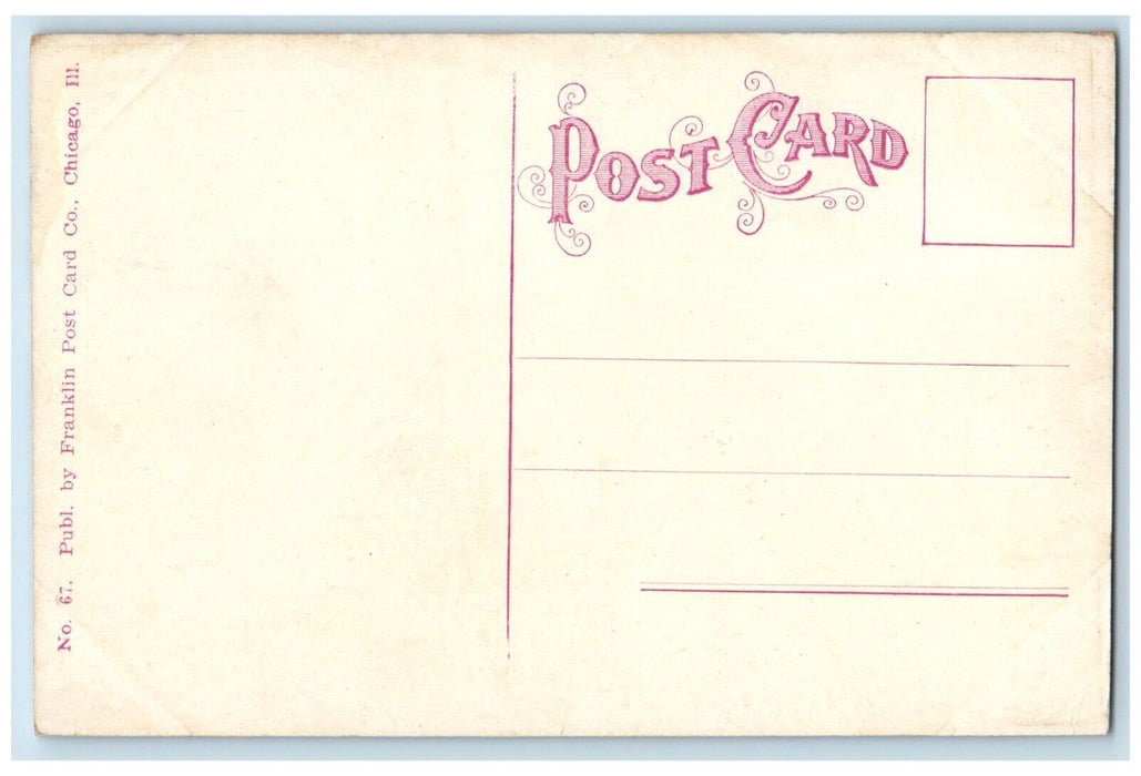 c1910 Washington Park Rustic Bridge South Side Park Chicago Illinois IL Postcard