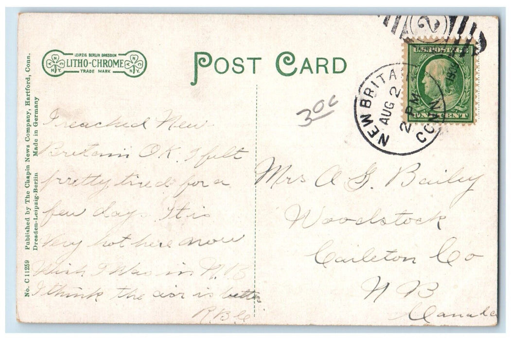 1909 Scenic View Washington Street New Britain Connecticut CT Antique Postcard