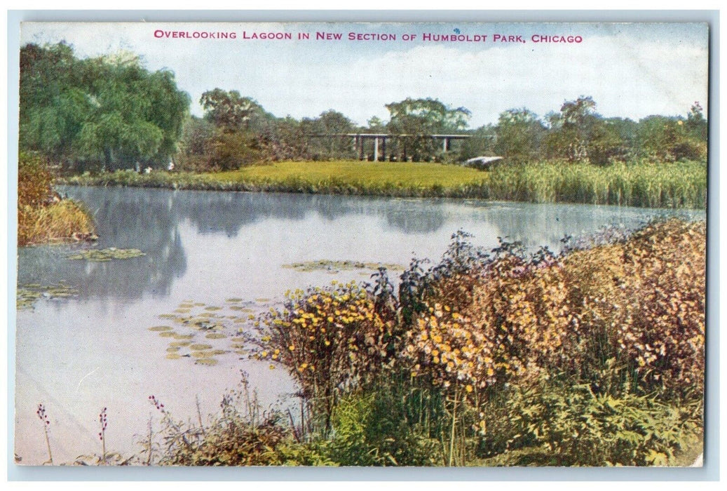 c1910 Overlooking Lagoon New Section Humboldt Park Chicago Illinois IL Postcard