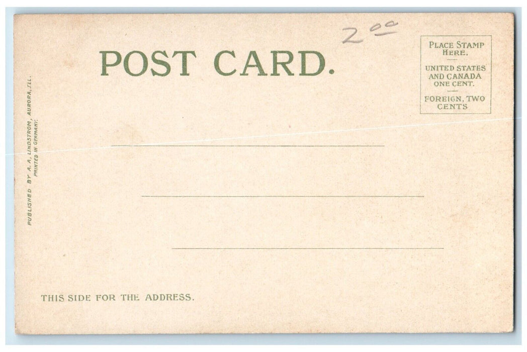 c1905 Downer Place Looking West Russell Ave Street Road Aurora Illinois Postcard