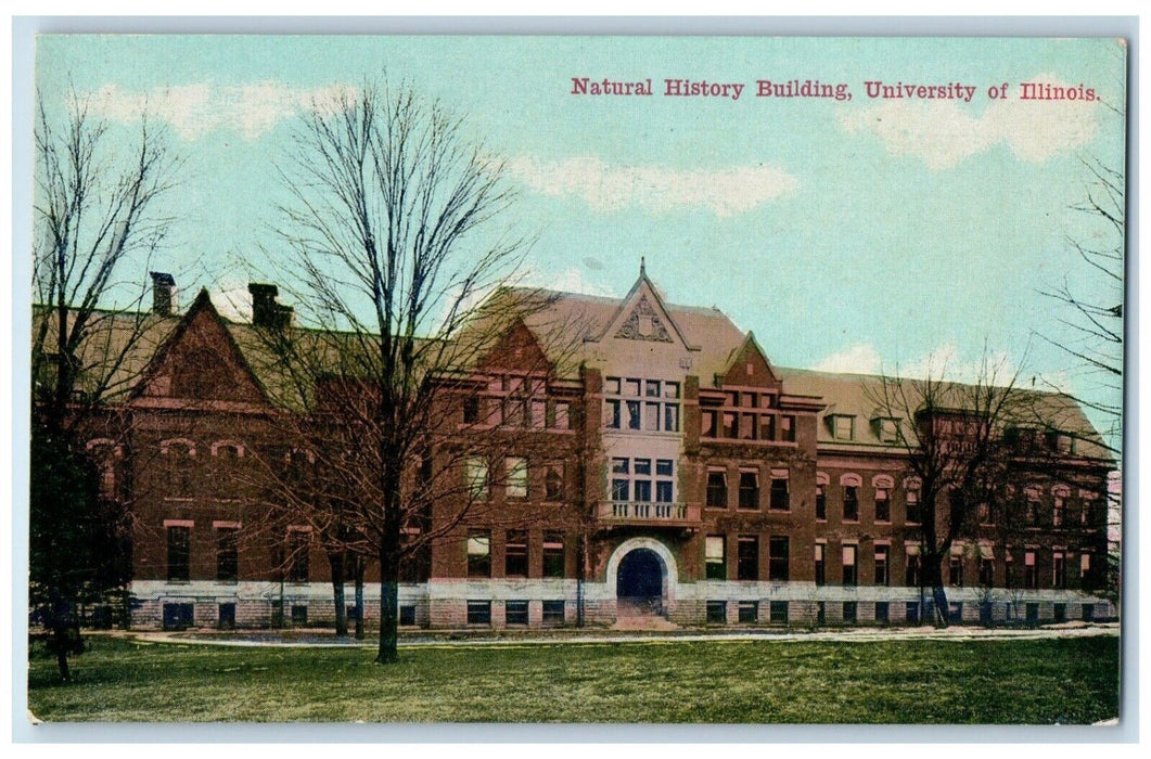 c1910 Natural History Building Exterior School University Illinois IL Postcard