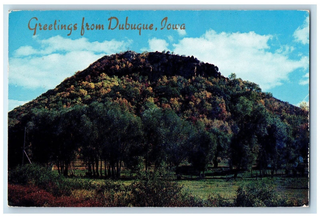 1956 Greetings From Dubuque Grove Cone Hills Covered By Tree Dubuque IA Postcard