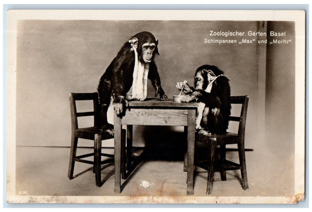 c1920's Chimpanzee Max & Moritz Basel Zoo Switzerland RPPC Photo Postcard