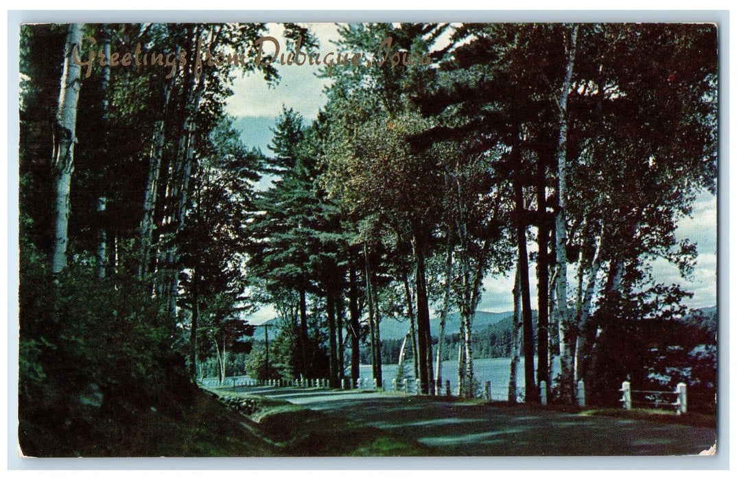 1956 Greetings From Dubuque Road Along River Lake Trees Dubuque Iowa IA Postcard