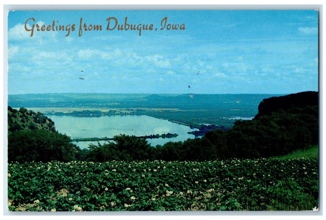 1956 Greetings From Dubuque Overlooking Lake Pond Mountains Dubuque IA Postcard