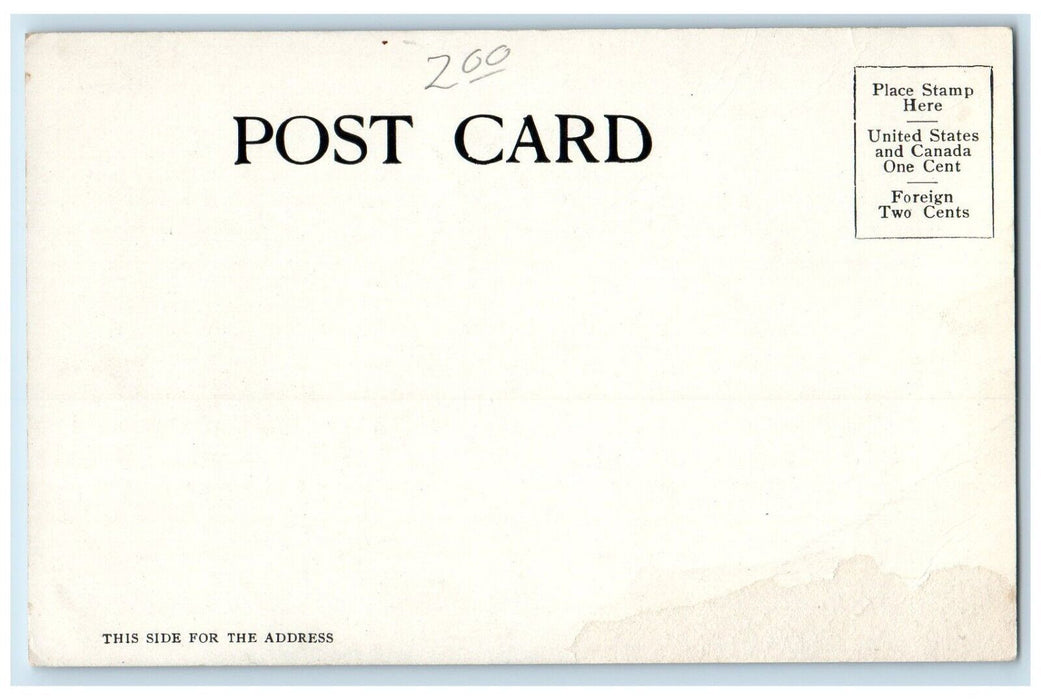 c1905 Pavilion Lake Harriet Carriage Minneapolis Minnesota MN Vintage Postcard