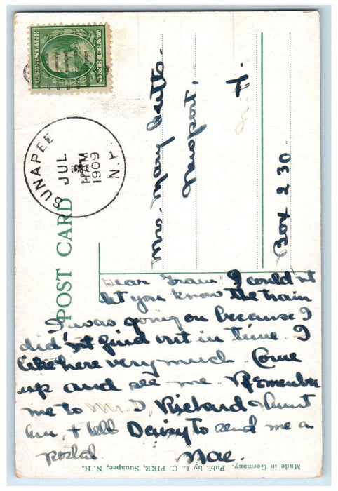 1909 Burke Haven Hotel Lake Exterior Scene Sunapee New Hampshire NH Postcard