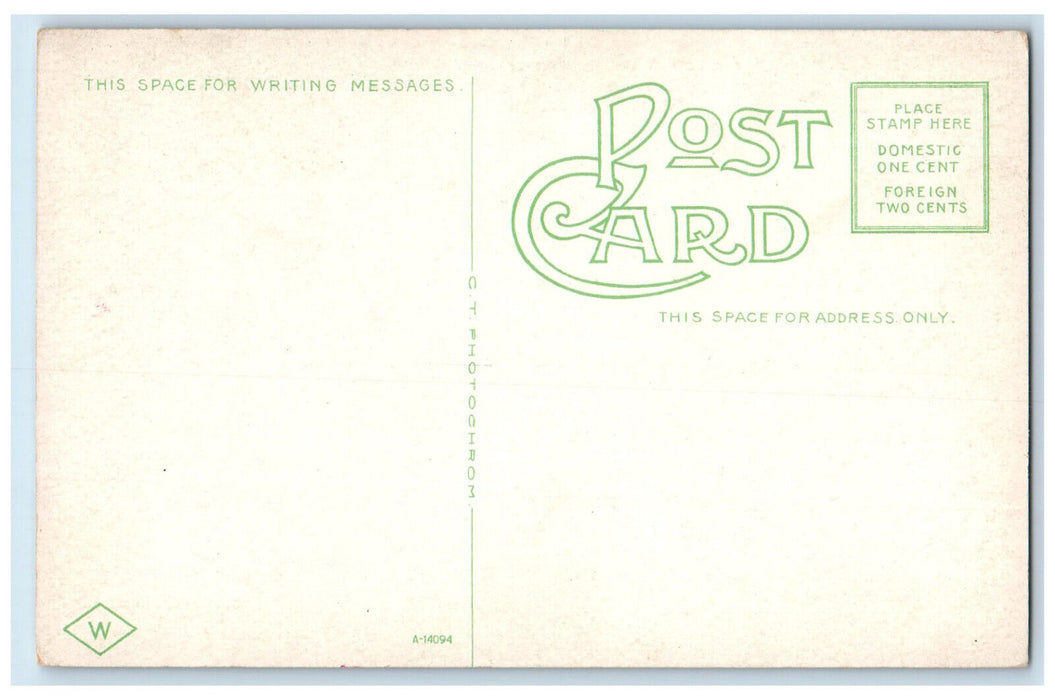 View Of Bull Street And Gordon Monument Statue Park Savannah Georgia GA Postcard