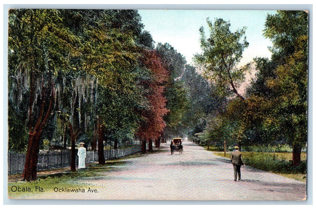 Ocklawaha Avenue Horse Carriage Approaching Tree-lined Ocala Florida FL Postcard