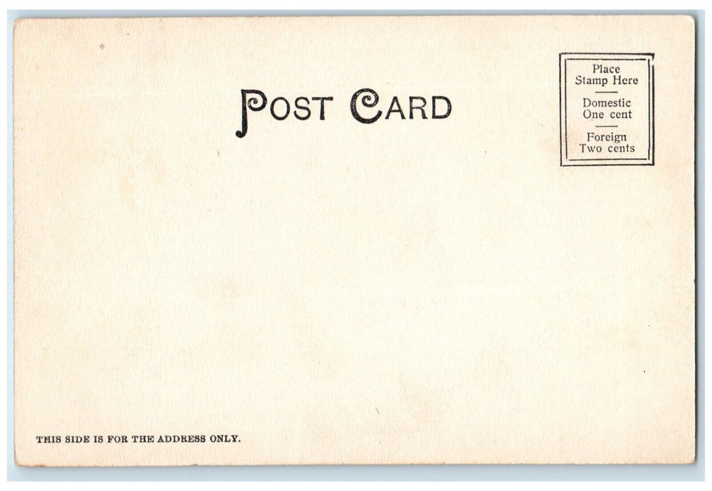 c1905 Presbyterian Hospital Madison Ave. And 70th Street New York NY Postcard