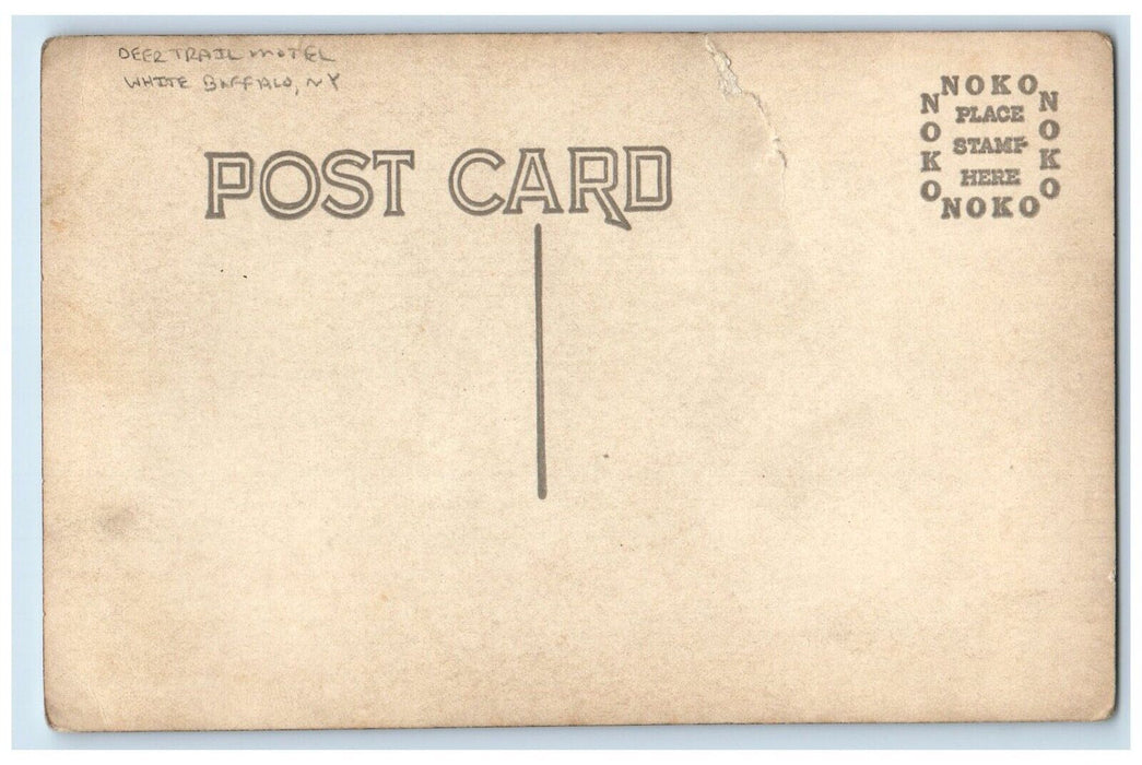 c1910's Deer Trail Motel View Gas Station White Buffalo NY RPPC Photo Postcard