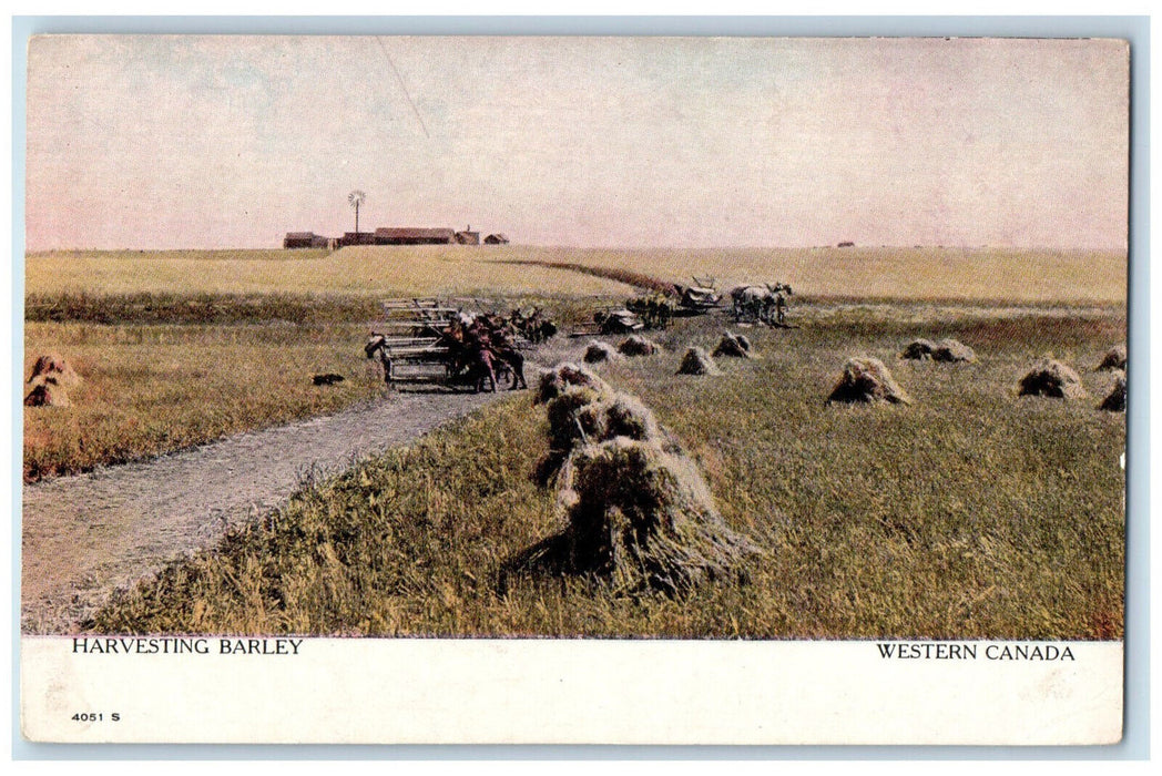 Harvesting Barley Western Canada, Farming Farmland Scene Vintage Postcard
