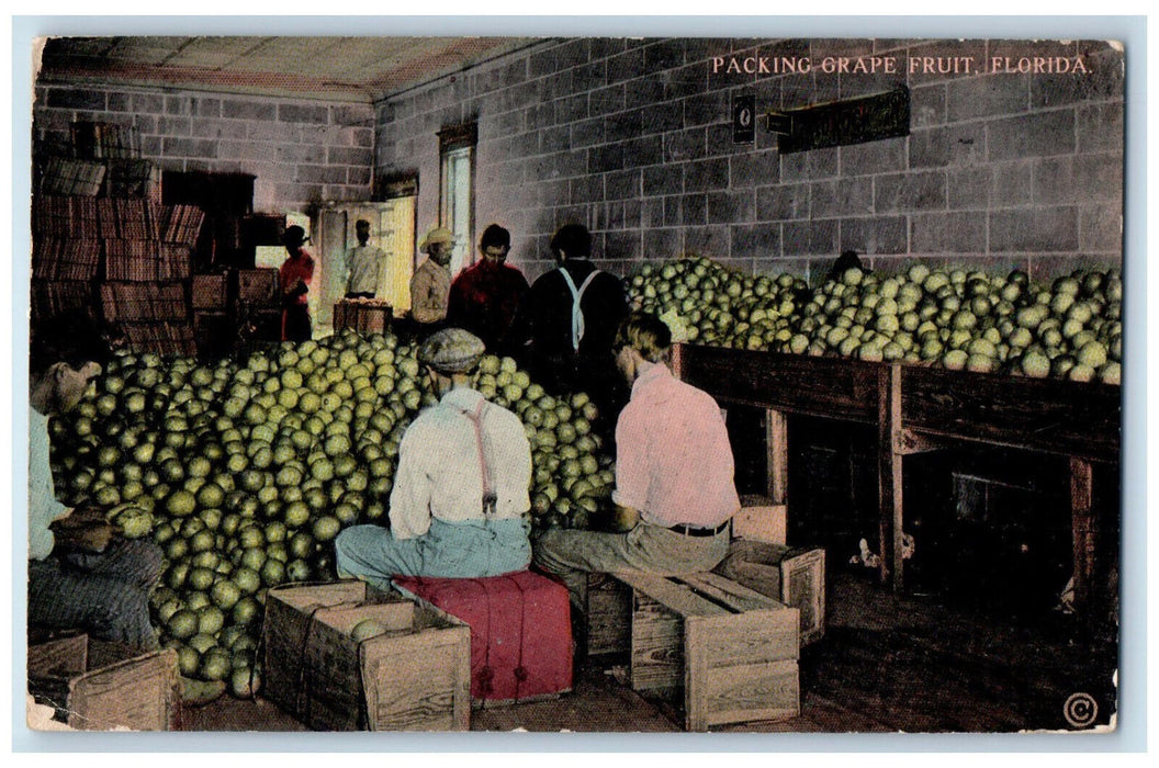 1912 Packing Grape Fruit Florida FL Posted Antique S.H Kress & Co. Postcard