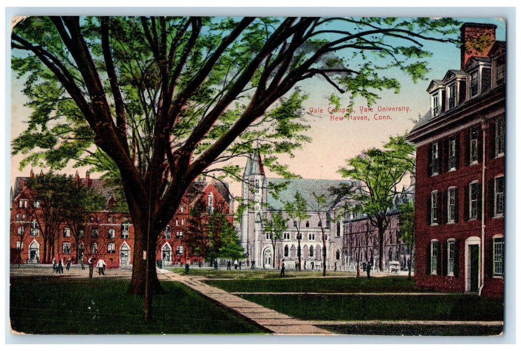 1911 View Of Vale Campus University New Haven Connecticut CT Antique Postcard