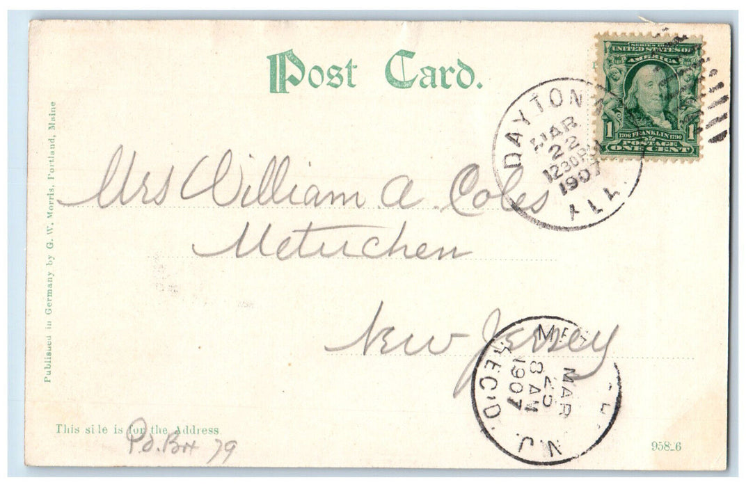 1907 Crocodile A Beauty-Native of Daytona Florida FL Metuchen NJ Postcard