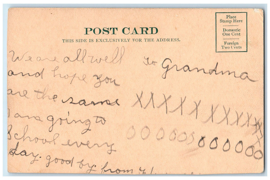 Soo Nipi Park Lodge Lake Sunapee New Hampshire NH Horse Carriage Scene Postcard