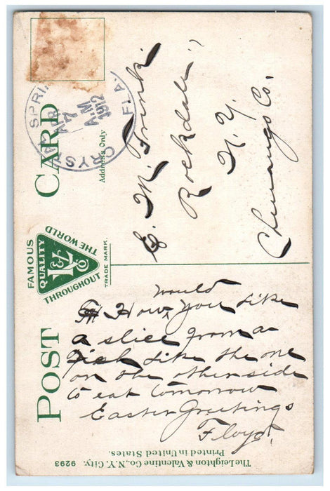 1912 A Florida Manatee Crystal Springs Florida FL Antique H.E. Hill Postcard
