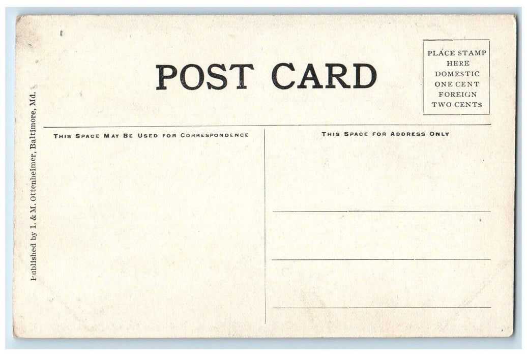 c1930 Falls Great Falls Cliff Rocks Lake Potomac Washington DC Vintage Postcard