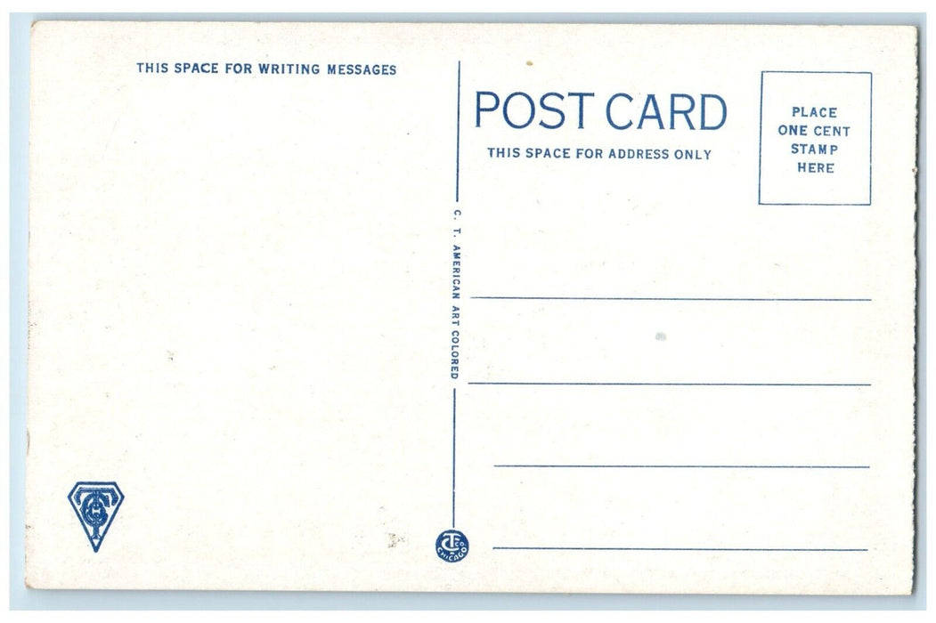 c1930 Chicago Milwaukee St. Paul Pacific Railroad East Slope Washington Postcard