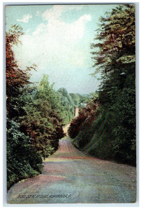 1910 Road Scene Gulf Road Trees Mountain Ashtabula Ohio Vintage Antique Postcard