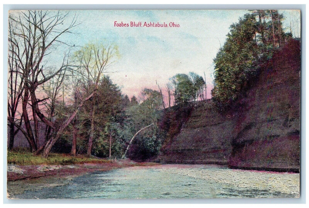 c1910 Foabes Bluff Cliff River Lake Ashtabula Ohio OH Vintage Antique Postcard