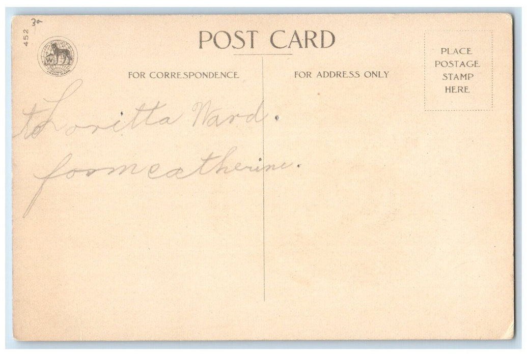 c1910's Valentine Little Sweetheart Big Heart To The One I Love Wolf  Postcard