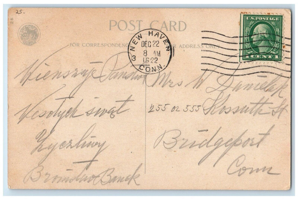 1922 Merry Christmas Cute Girl Fan Poinsettia Flowers Wolf New Haven CT Postcard
