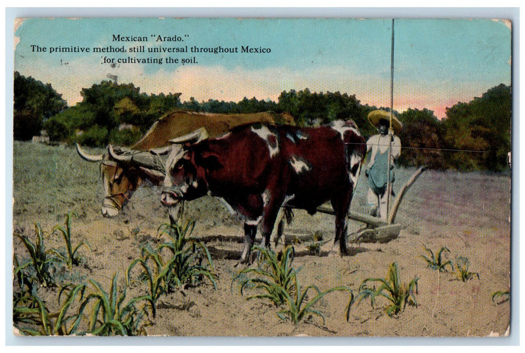 c1910 Mexican "Arado" The Primitive Method Cultivating Soil Mexico Postcard