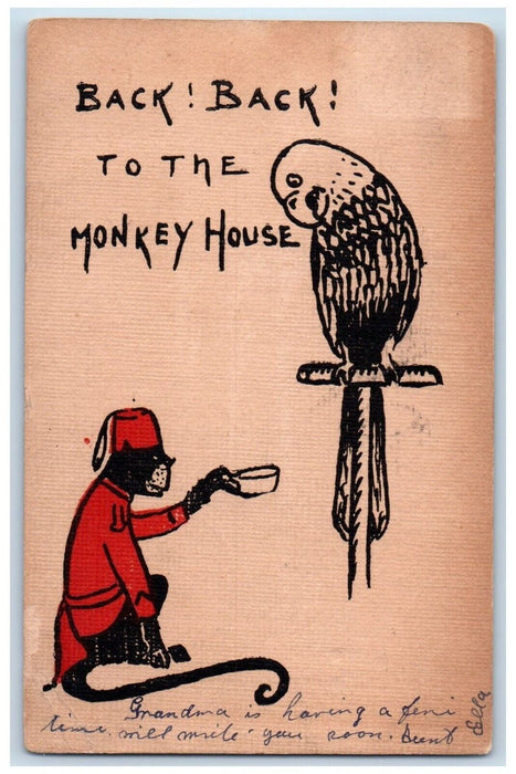 1907 Monkey Parrot Bellhop Hotel Humor Animals Boston MA Antique Posted Postcard
