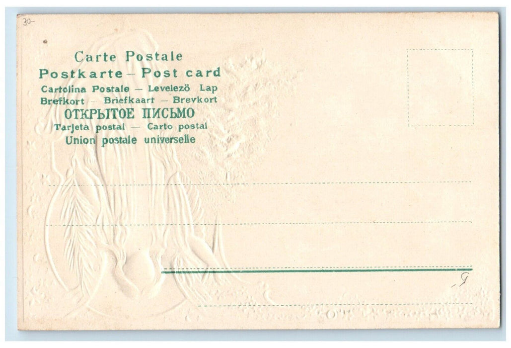 c1905 Merry Christmas Angel Pine Trees House Winter Embossed Antique Postcard